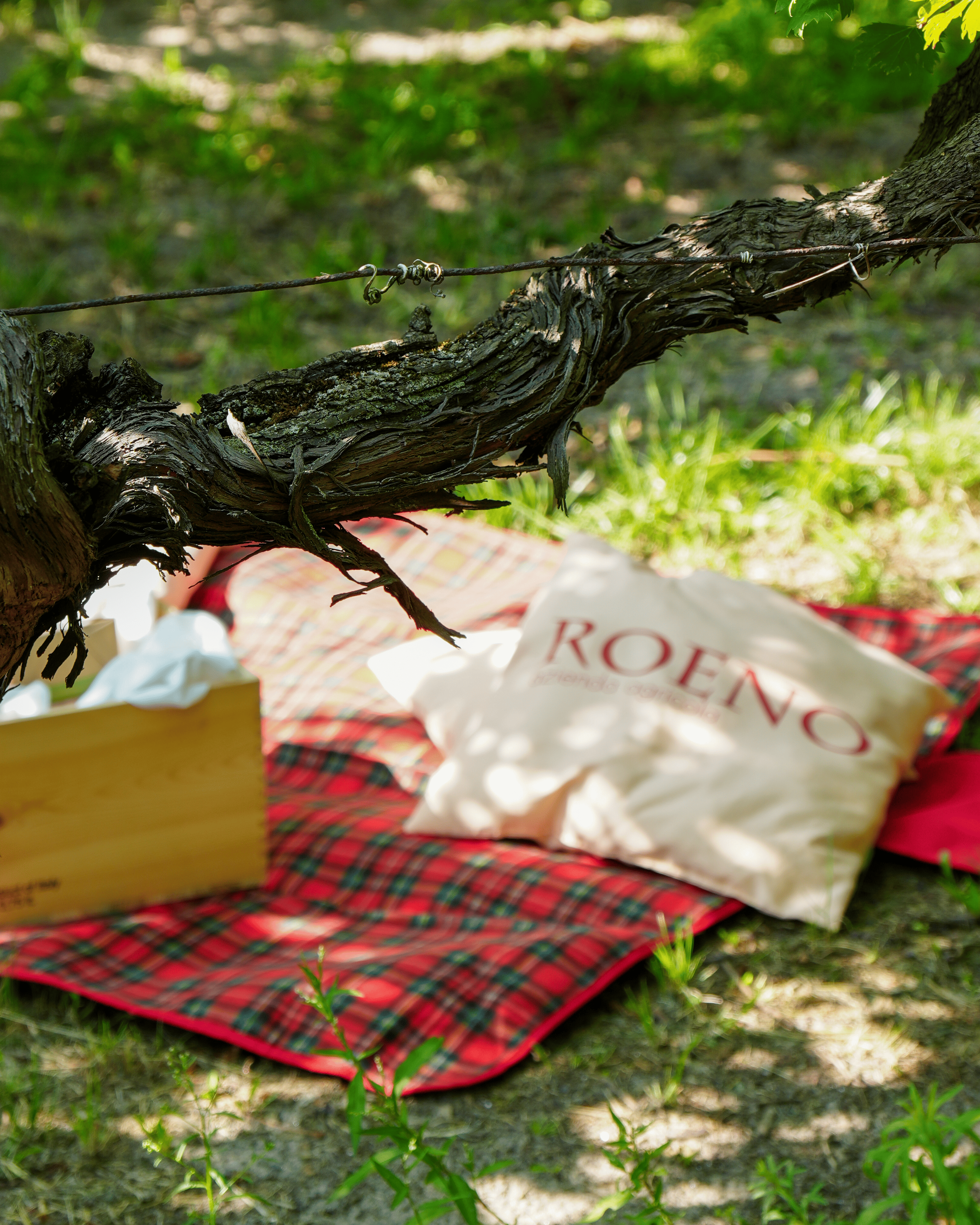 Wine Pic Nic
