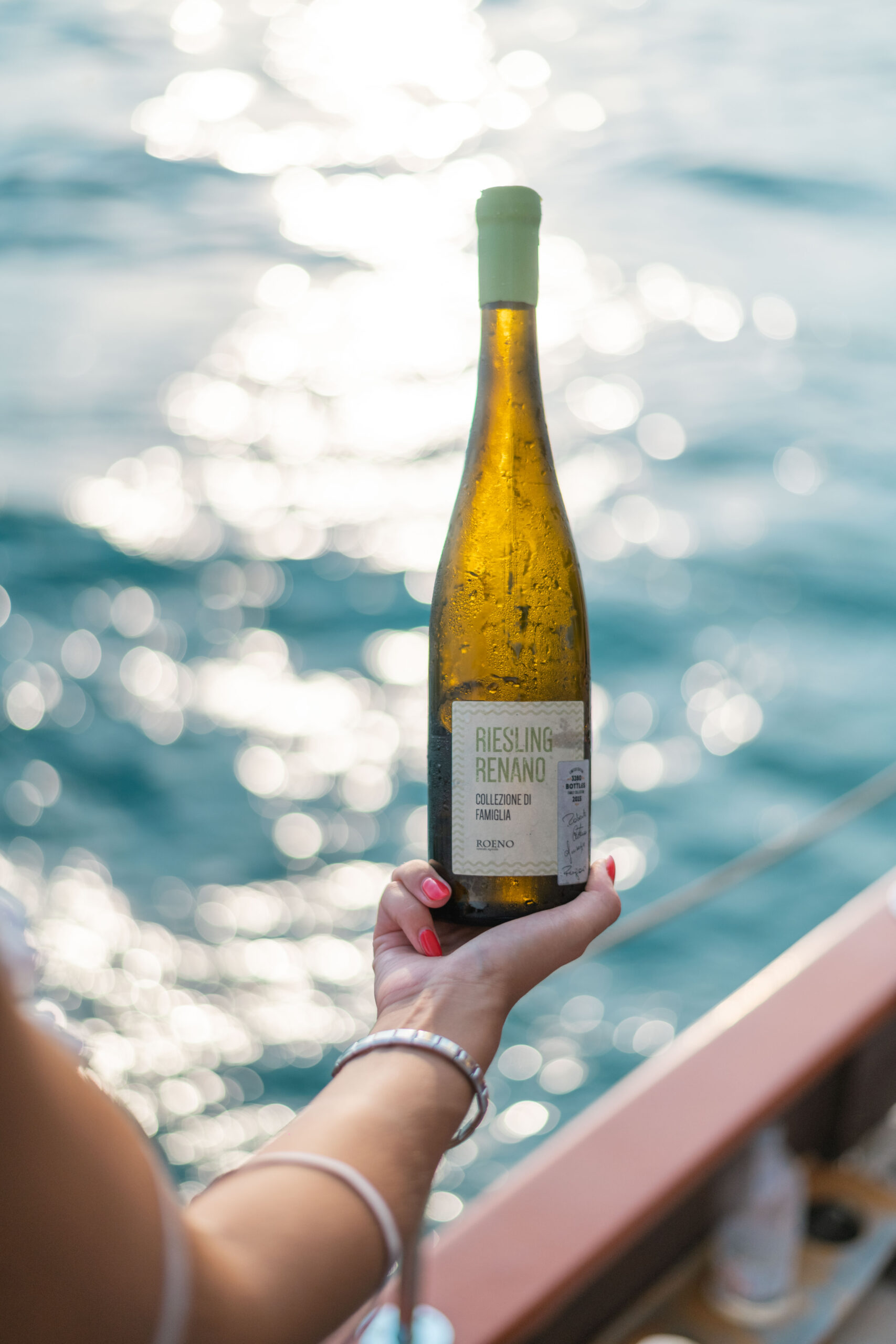 ✨ Riesling & Cruditè on the boat ✨