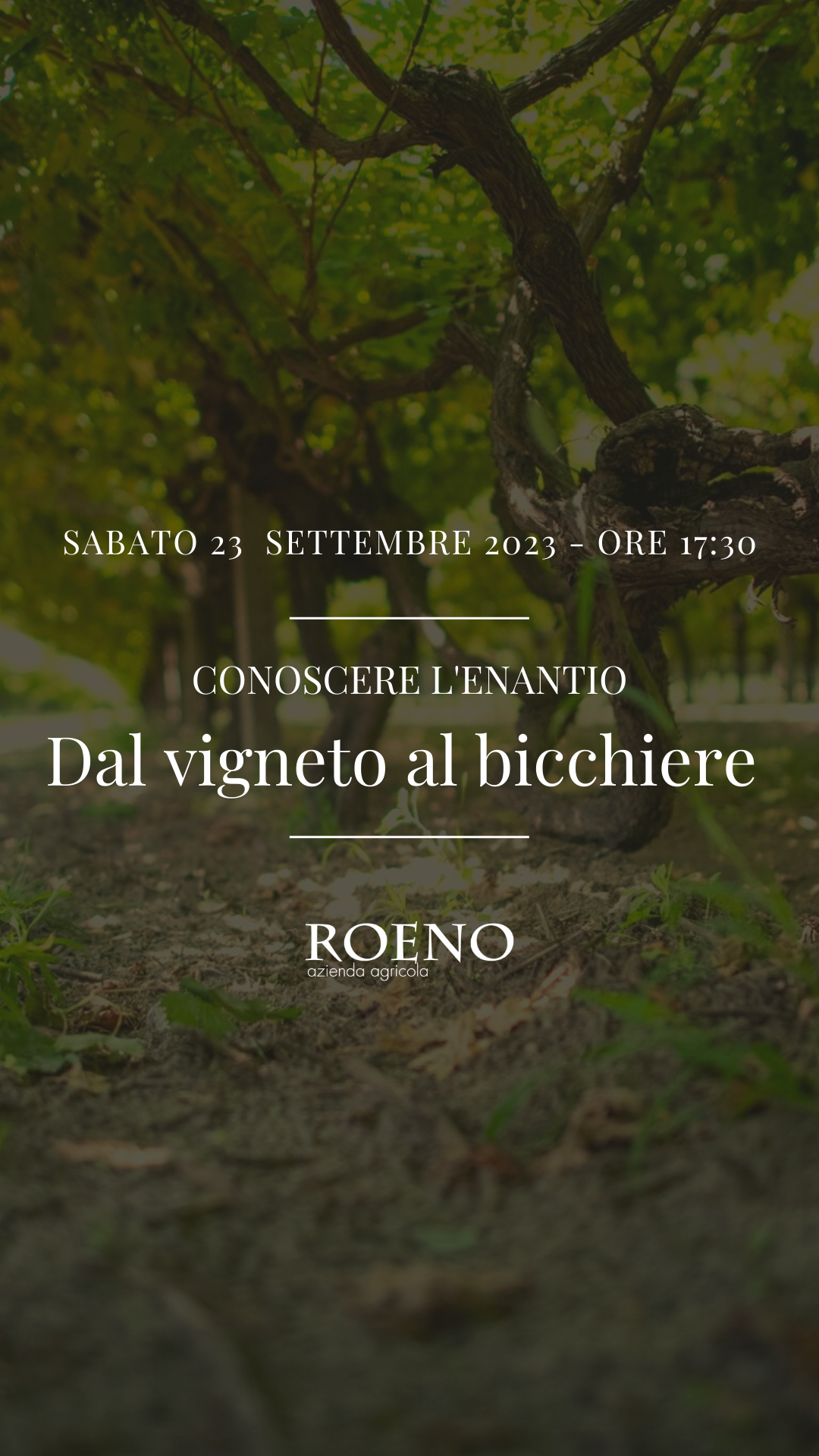 ✨Dal vigneto al bicchiere✨